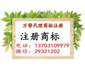 邯鄲公司注冊 邯鄲代理記賬 邯鄲商標(biāo)注冊 一站式企業(yè)服務(wù)平臺